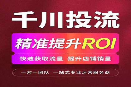 百度推广费用投入与品牌知名度提升的案例分析